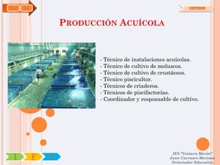 MAP   OA                                                      CENTROS




                   PRODUCCIÓN ACUÍCOLA


                          - Técnico de instalaciones acuícolas.
                          - Técnico de cultivo de moluscos.
                          - Técnico de cultivo de crustáceos.
                          - Técnico piscicultor.
                          - Técnicos de criaderos.
                          - Técnicos de piscifactorías.
                          - Coordinador y responsable de cultivo.




                                                      IES "Ventura Morón"
 I         F   C                                     Juan Carrasco Moriano
                                                      Orientador Educativo
 