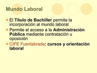 Mundo Laboral El  Título de Bachiller  permite la incorporación al mundo laboral Permite el acceso a la  Administración Pública  mediante contratación u oposición CIFE  Fuenlabrada : cursos y orientación laboral 