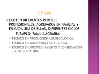  EXISTEN DIFERENTES PERFILES
PROFESIONALES, AGRUPADOS EN FAMILIAS Y
EN CADA UNA DE ELLAS, DIFERENTES CICLOS
EJEMPLO: FAMILIA AGRARIA:
 TÉCNICO EN PRODUCCIÓN AGROECOLÓGICA.
 TÉCNICO EN JARDINERIA Y FLORISTERIA.
 TÉCNICO EN APROVECHAMIENTO Y CONSERVACIÓN
DEL MEDIO NATURAL.
 