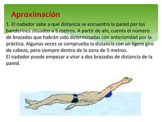 Aproximación
1. El nadador sabe a qué distancia se encuentra la pared por los
banderines situados a 5 metros. A partir de ahí, cuenta el número
de brazadas que habrán sido determinadas con anterioridad por la
práctica. Algunas veces se comprueba la distancia con un ligero giro
de cabeza, pero siempre dentro de la zona de 5 metros.
El nadador puede empezar a virar a dos brazadas de distancia de la
pared.
 
