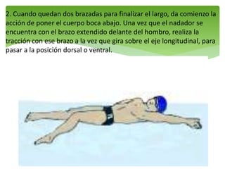 2. Cuando quedan dos brazadas para finalizar el largo, da comienzo la
acción de poner el cuerpo boca abajo. Una vez que el nadador se
encuentra con el brazo extendido delante del hombro, realiza la
tracción con ese brazo a la vez que gira sobre el eje longitudinal, para
pasar a la posición dorsal o ventral.
 