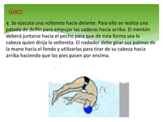 GIRO:
4. Se ejecuta una voltereta hacia delante. Para ello se realiza una
patada de delfín para empujar las caderas hacia arriba. El mentón
deberá juntarse hacia el pecho para que de esta forma sea la
cabeza quien dirija la voltereta. El nadador debe girar sus palmas de
la mano hacia el fondo y utilizarlas para tirar de su cabeza hacia
arriba haciendo que los pies pasen por encima.
 