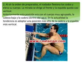 2. Al oír la orden de preparados, el nadador flexiona los codos y
eleva su cuerpo. La mirada se dirige al frente y la espalda queda casi
vertical.
Anteriormente esta posición era con el cuerpo muy agrupado, la
cabeza baja y la cadera dentro del agua. En la actualidad la
tendencia es adoptar una posición más alta de la cadera y la espalda
más vertical.
 