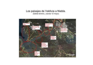 Los paisajes de Valdivia a Niebla.
     (Salida terreno, Jueves 12 mayo)
 