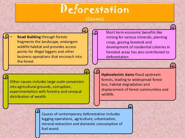 Effects of Deforestation in Points