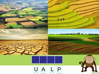 U PLA
 
