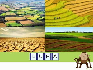 U PL A
 