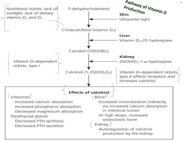 Approach to a child with Rickets | PPTX