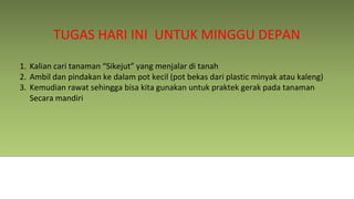 Sistem Gerak 1 Ilmu Pengetahuan alam.pptx