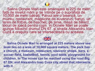 Salina Ocnele Mari este amenajat ă  la 225 de metri fa ţă  de nivelul m ă rii  ş i se  î ntinde pe o suprafa ţă  de 10.000 de metri p ă tra ţ i. Parcul are o biseric ă , un muzeu, restaurant, magazine de suveniruri, baruri, un teren de fotbal, de baschet, de tenis, mas ă  de biliard, locuri de joac ă  pentru copii.  Î n Ocnele Mari se poate ajunge folosind drumul DN 67  ş i strada Alexandru Ioan Cuza a ora ş ului care se intersecteaz ă  cu aceasta.  Salina Ocnele Mari is arranged at 225 meters above sea level lies on a area of 10,000 square meters. The park has a church, a museum, restaurant, souvenir shops, bars, a soccer field, basketball, tennis, pool table, playground for children. In The mines can be reached using the road Big 67 DN  and Alexandru Ioan Cuza city street that intersects with it. 