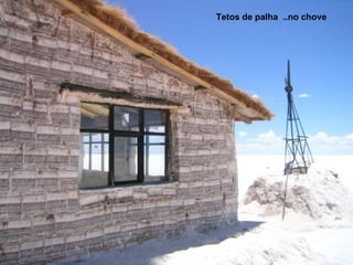 Tetos de palha  ..no chove 