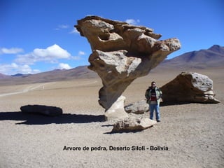 Arvore de pedra, Deserto Siloli - Bolivia 