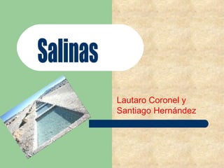 Lautaro Coronel y Santiago Hernández  Salinas 