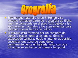 • Este parque natural y el de El Hondo y su
entorno formaban parte de la albufera de Elche,
que fue colmatada en el siglo XVII debido a las
aportaciones naturales y los aterramientos para
obtener nuevas tierras de cultivo.
• El parque está formado por un conjunto de
dunas y playas junto a las que se ubica la
explotación salinera. Hacia el interior es posible
encontrar una zona de agua dulce
permanentemente embalsada junto con otra
zona que se encharca de manera temporal.
 