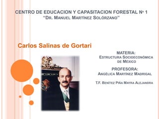 CENTRO DE EDUCACION Y CAPASITACION FORESTAL Nº 1 “Dr. Manuel Martínez Solórzano” Carlos Salinas de Gortari MATERIA: Estructura Socioeconómica  de México T.F.BenítezPiña Mayra Alejandra  PROFESORA: Angélica Martínez Madrigal 