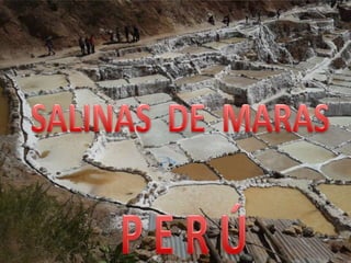 Salinas de maras -  PERU