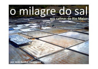 o milagre do sal 
nas salinas de Rio Maior 
por João Aníbal Henriques 
 
