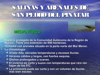 SALINAS Y ARENALES DESALINAS Y ARENALES DE
SAN PEDRO DEL PINATARSAN PEDRO DEL PINATAR
MEDIO FÍSICOMEDIO FÍSICO
• Espacio protegido de la Comunidad Autónoma de la Región deEspacio protegido de la Comunidad Autónoma de la Región de
Murcia . Tiene una extensión de 856 hectáreas.Murcia . Tiene una extensión de 856 hectáreas.
• Humedal con arenales situado en la parte norte del Mar Menor.Humedal con arenales situado en la parte norte del Mar Menor.
• La climatología:La climatología:
 Aridez Alta, elevadas temperaturas y escasas lluvias.Aridez Alta, elevadas temperaturas y escasas lluvias.
 Veranos cálidos y largos, con fuertes sequías.Veranos cálidos y largos, con fuertes sequías.
 Otoños prolongados y suaves.Otoños prolongados y suaves.
 El invierno es corto y suave con temperaturas que rara vezEl invierno es corto y suave con temperaturas que rara vez
bajan de los 5ºC.bajan de los 5ºC.
 La primavera suele ser corta y con un volumen de lluviasLa primavera suele ser corta y con un volumen de lluvias
más bien escaso.más bien escaso.
 