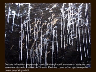 Datorita infiltratiilor, pe peretele nordic al minei Rudolf, s-au format stalactite de
sare cu o viteza de crestere de 2 cm/an. Ele cresc pana la 3 m apoi se rup din
cauza propriei greutati.
 