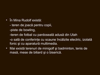 • În Mina Rudolf există:
- teren de joacă pentru copii,
-piste de bowling,
-teren de fotbal cu pardoseală adusă din Utah
-o sală de conferinţe cu scaune încălzite electric, izolată
fonic şi cu aparatură multimedia.
• Mai există terenuri de minigolf şi badminton, tenis de
masă, mese de biliard şi o biserică.
 