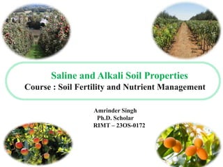 Saline and Alkali Soil Properties
Course : Soil Fertility and Nutrient Management
Amrinder Singh
Ph.D. Scholar
RIMT – 23OS-0172
 