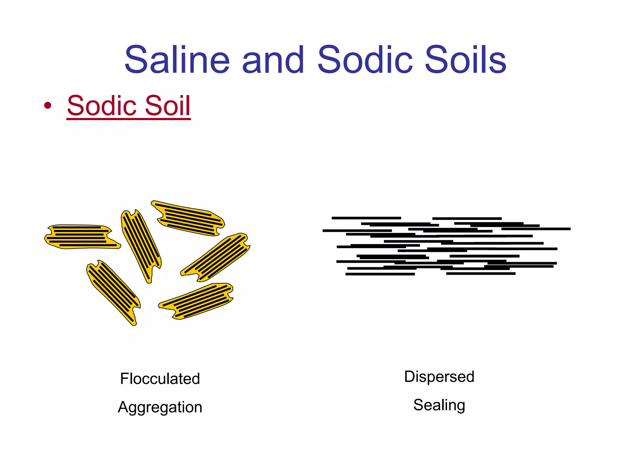 Saline and Sodic Soils
• Sodic Soil
Flocculated
Aggregation
Dispersed
Sealing
 