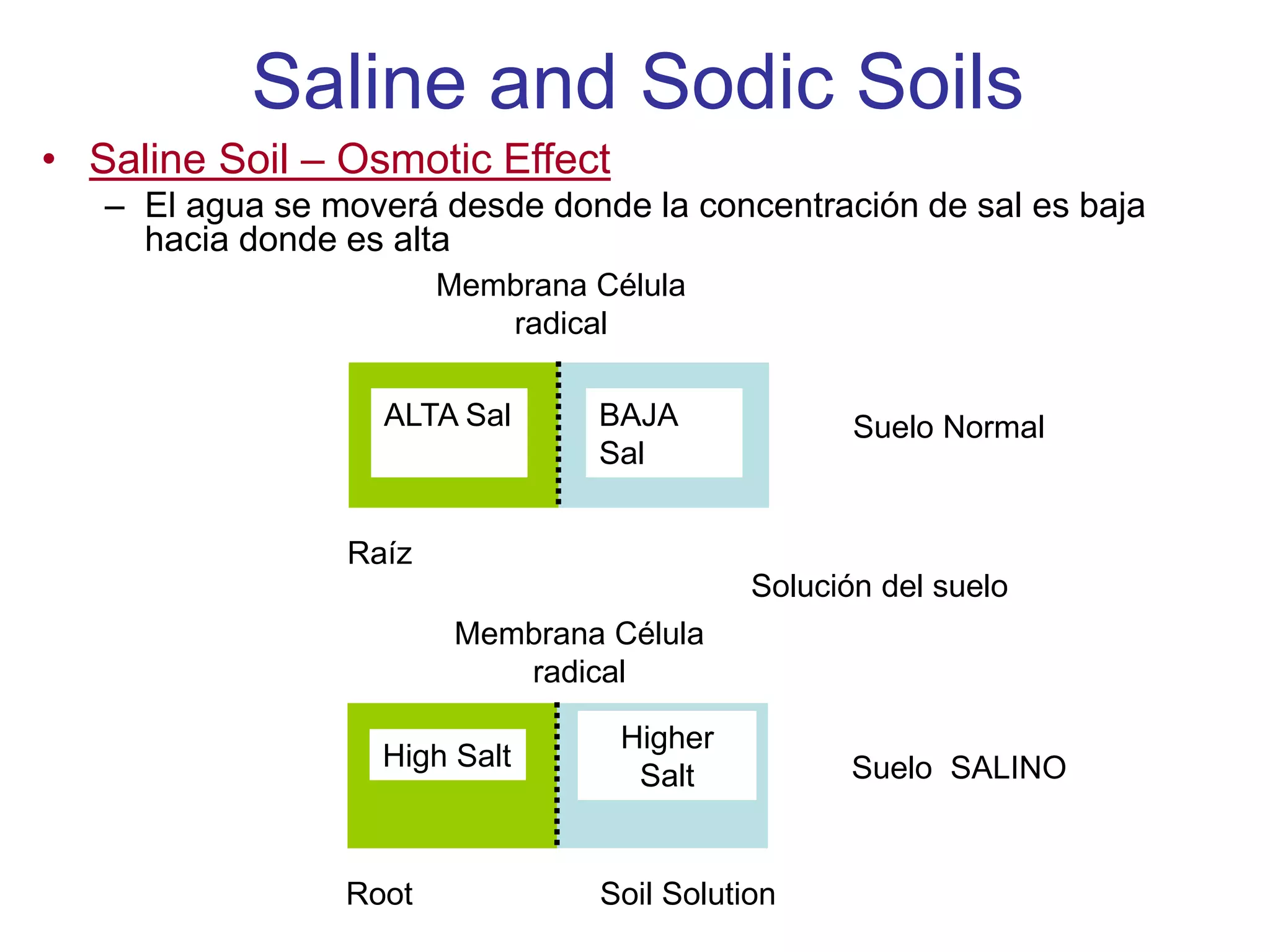 Saline and Sodic Soils
• Saline Soil – Osmotic Effect
– El agua se moverá desde donde la concentración de sal es baja
hacia donde es alta
Raíz
Membrana Célula
radical
ALTA Sal BAJA
Sal
Suelo Normal
Root Soil Solution
High Salt High Salt Suelo SALINO
Higher
Salt
Solución del suelo
Membrana Célula
radical
 