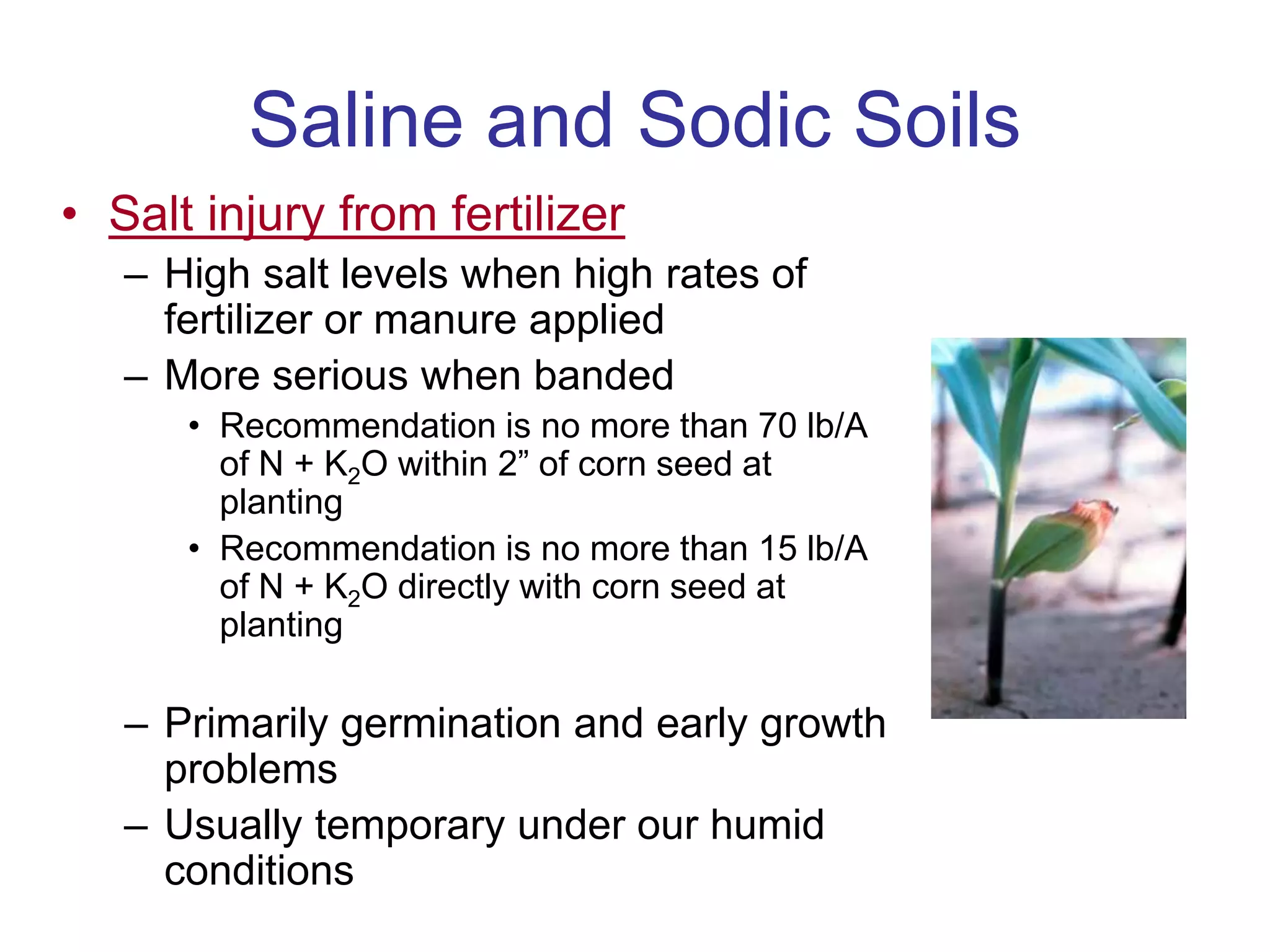 Saline and Sodic Soils
• Salt injury from fertilizer
– High salt levels when high rates of
fertilizer or manure applied
– More serious when banded
• Recommendation is no more than 70 lb/A
of N + K2O within 2” of corn seed at
planting
• Recommendation is no more than 15 lb/A
of N + K2O directly with corn seed at
planting
– Primarily germination and early growth
problems
– Usually temporary under our humid
conditions
 