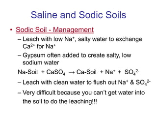 Saline And Sodic Soils | PPT