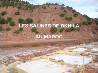 LES SALINES DE DKHILA
AU MAROC
 