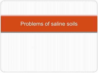 Problems of saline soils
 
