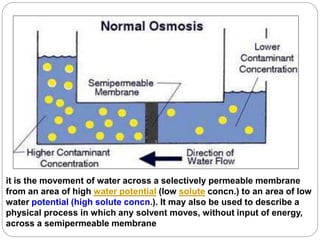 it is the movement of water across a selectively permeable membrane
from an area of high water potential (low solute concn.) to an area of low
water potential (high solute concn.). It may also be used to describe a
physical process in which any solvent moves, without input of energy,
across a semipermeable membrane
 