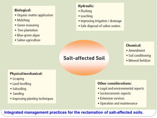 Integrated management practices for the reclamation of salt-affected soils.
 
