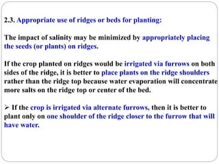 2.3. Appropriate use of ridges or beds for planting:
The impact of salinity may be minimized by appropriately placing
the seeds (or plants) on ridges.
If the crop planted on ridges would be irrigated via furrows on both
sides of the ridge, it is better to place plants on the ridge shoulders
rather than the ridge top because water evaporation will concentrate
more salts on the ridge top or center of the bed.
 If the crop is irrigated via alternate furrows, then it is better to
plant only on one shoulder of the ridge closer to the furrow that will
have water.
 