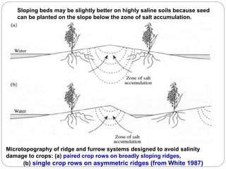 Microtopography of ridge and furrow systems designed to avoid salinity
damage to crops: (a) paired crop rows on broadly sloping ridges,
(b) single crop rows on asymmetric ridges (from White 1987)
Sloping beds may be slightly better on highly saline soils because seed
can be planted on the slope below the zone of salt accumulation.
 