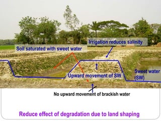 Reduce effect of degradation due to land shaping
Sweet water
(SW)
Soil saturated with sweet water
No upward movement of brackish water
Irrigation reduces salinity
Upward movement of SW
 
