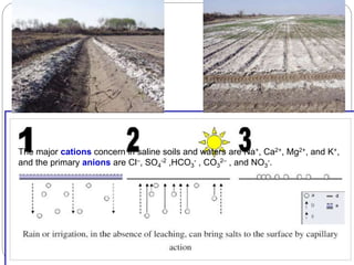The major cations concern in saline soils and waters are Na+, Ca2+, Mg2+, and K+,
and the primary anions are Cl–, SO4
-2 ,HCO3
- , CO3
2– , and NO3
-.
 