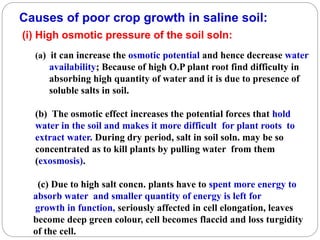 Causes of poor crop growth in saline soil:
(i) High osmotic pressure of the soil soln:
(a) it can increase the osmotic potential and hence decrease water
availability; Because of high O.P plant root find difficulty in
absorbing high quantity of water and it is due to presence of
soluble salts in soil.
(b) The osmotic effect increases the potential forces that hold
water in the soil and makes it more difficult for plant roots to
extract water. During dry period, salt in soil soln. may be so
concentrated as to kill plants by pulling water from them
(exosmosis).
(c) Due to high salt concn. plants have to spent more energy to
absorb water and smaller quantity of energy is left for
growth in function, seriously affected in cell elongation, leaves
become deep green colour, cell becomes flaccid and loss turgidity
of the cell.
 