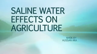 SALINE WATER
EFFECTS ON
AGRICULTURE
MADE BY:
HUSSAN ARA
 