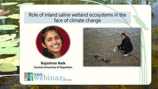 Role of inland saline wetland ecosystems in the
face of climate change
Rajashree Naik
Central University of Rajasthan
 
