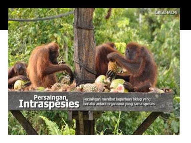 Saling bersandaran antara organisma hidup