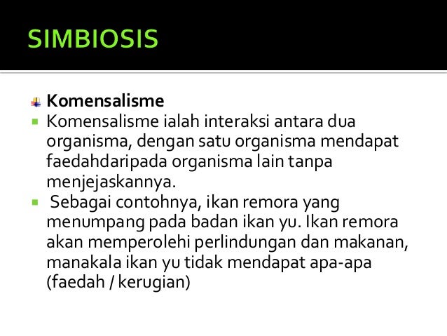 Saling Bersandaran Antara Organisma Hidup