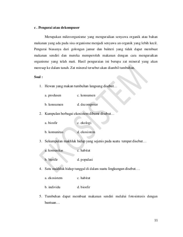 Saling Ketergantungan Dalam Ekosistem