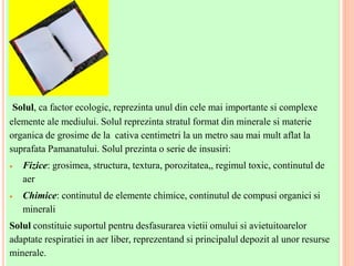 Componentele Solului Salinitatea solului | PPTX