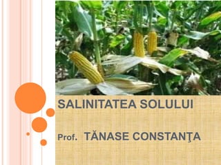 SALINITATEA SOLULUI
SALINITATEA SOLULUI
Prof. TĂNASE CONSTANŢA
 