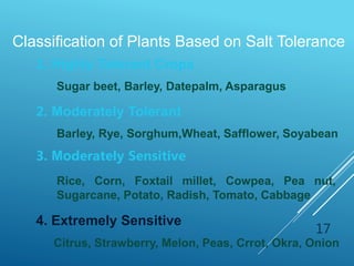 17
Classification of Plants Based on Salt Tolerance
1. Highly Tolerant Crops
Sugar beet, Barley, Datepalm, Asparagus
2. Moderately Tolerant
Barley, Rye, Sorghum,Wheat, Safflower, Soyabean
3. Moderately Sensitive
Rice, Corn, Foxtail millet, Cowpea, Pea nut,
Sugarcane, Potato, Radish, Tomato, Cabbage
4. Extremely Sensitive
Citrus, Strawberry, Melon, Peas, Crrot, Okra, Onion
 