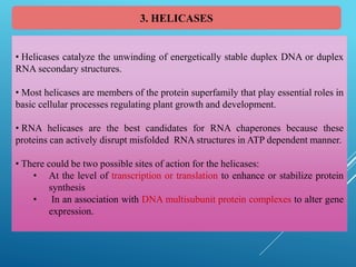 3. HELICASES
• Helicases catalyze the unwinding of energetically stable duplex DNA or duplex
RNA secondary structures.
• Most helicases are members of the protein superfamily that play essential roles in
basic cellular processes regulating plant growth and development.
• RNA helicases are the best candidates for RNA chaperones because these
proteins can actively disrupt misfolded RNA structures in ATP dependent manner.
• There could be two possible sites of action for the helicases:
• At the level of transcription or translation to enhance or stabilize protein
synthesis
• In an association with DNA multisubunit protein complexes to alter gene
expression.
 