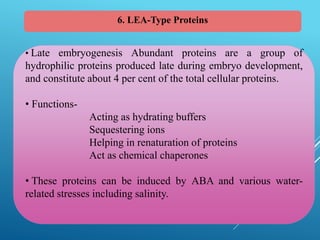 34
6. LEA-Type Proteins
• Late embryogenesis Abundant proteins are a group of
hydrophilic proteins produced late during embryo development,
and constitute about 4 per cent of the total cellular proteins.
• Functions-
Acting as hydrating buffers
Sequestering ions
Helping in renaturation of proteins
Act as chemical chaperones
• These proteins can be induced by ABA and various water-
related stresses including salinity.
 