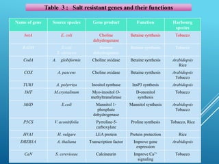 Name of gene Source species Gene product Function Harbourg
species
betA E. coli Choline
dehydrogenase
Betaine synthesis Tobacco
BADH E.coli
S. oleracea
Betaine
dehydrogenase
Betaine synthesis Tobacco
CodA A. globiformis Choline oxidase Betaine synthesis Arabidopsis
Rice
COX A. pascens Choline oxidase Betaine synthesis Arabidopsis
Tobacco
TUR1 A. polyrriza Inositol synthase InsP3 synthesis Arabidopsis
IMT M.crystalinum Myo-inositol O-
methyltransferase
D-ononitol
synthesis
Tobacco
MtlD E.coli Mannitol 1-
phosphate
dehydrogenase
Mannitol synthesis Arabidopsis
Tobacco
P5CS V. aconitifolia Pyrroline-5-
carboxylate
Proline synthesis Tobacco, Rice
HVA1 H. vulgare LEA protein Protein protection Rice
DREB1A A. thaliana Transcription factor Improve gene
expression
Arabidopsis
CaN S. cereviseae Calcineurin Improve Ca2+
signaling
Tobacco
Table 3 : Salt resistant genes and their functions
 