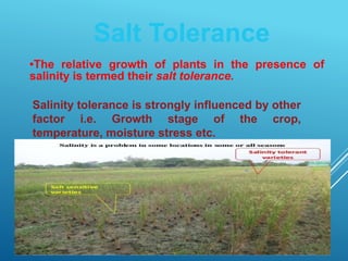 5
Salinity tolerance is strongly influenced by other
factor i.e. Growth stage of the crop,
temperature, moisture stress etc.
Salt Tolerance
•The relative growth of plants in the presence of
salinity is termed their salt tolerance.
 